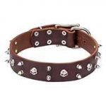 Hard Rock Dog Collar Leather with Skulls and Two Rows of Spikes