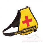 Service Dog Vest for Pitbull with Identification Patches