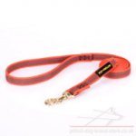 Leash for a Pitbull of Orange Nylon with Non-Slip Rubber Rows