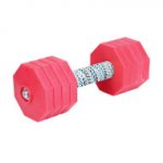 Dog Training Dumbbell with 8 Red Plastic Weight Plates, 2 kg