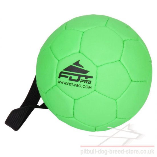 green dog ball