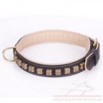 Thick Pitbull Dog Collar "Cube" with Brass Adornments