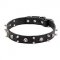 "Yo-ho-ho" Pitbull Dog Collar with Skulls