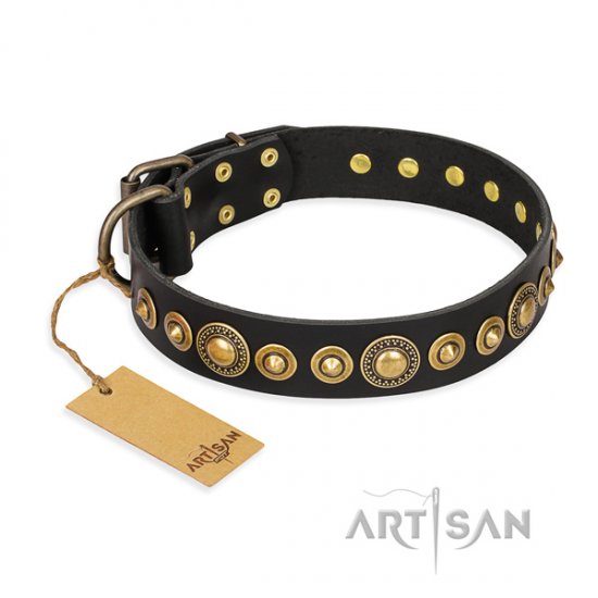 "Gold Mine" FDT Artisan Brass Studded Dog Collar for Staffies