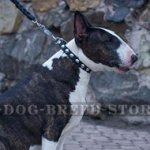 Elegant Bull Terrier Collar with Round Silver Studs