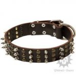 Designer Dog Collar with Nickel Spikes and Brass Studs