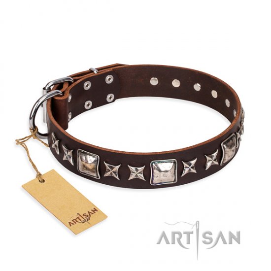 "Perfect Impression" FDT Artisan Brown Studded Dog Collar in UK