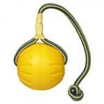 Foam Dog Ball Toy on Rope for Staffy and Pitbull Training