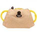 Puppy Development Biting Pillow with Handles