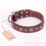 Leather Dog Collar for Pitbull "Stellar Fairy" FDT Artisan