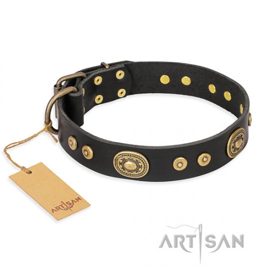"Golden Radiance" FDT Artisan 1.5 inch Dog Collar in Black