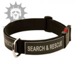 Quick Release Training Collar with Patches