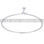 Pitbull Dog Chain Collar for Rings and Shows Only