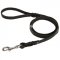 Strong & Stylish Dog Leash with Braids