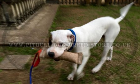 Amstaff Training Jute Bite Tug for Young Dogs