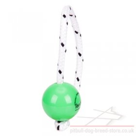 Top-Matic Fun Ball Mini for Small and Young Staffy