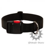 Excellent Quick Release Dog Collar of Strong Nylon