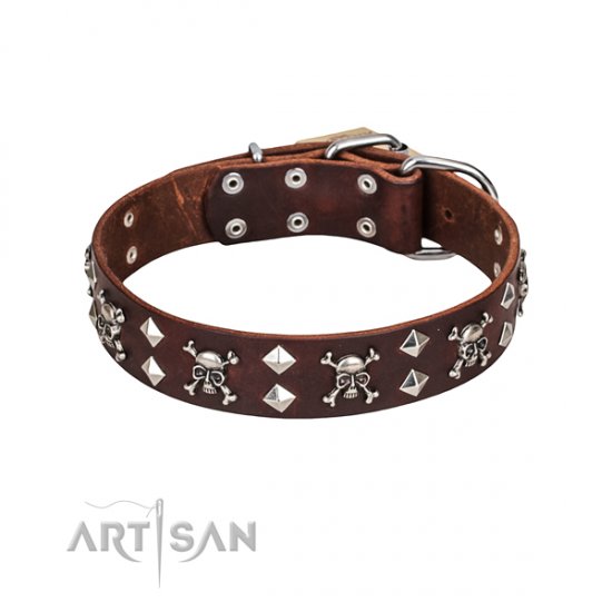 FDT Artisan Rock 'n' Roll Style Skull and Crossbones Dog Collar