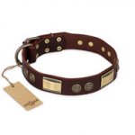 Leather Dog Collar for Pitbull "Golden Stones" FDT Artisan