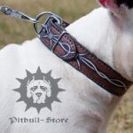 Unique Dog Collar with "Barbed Wire" Painting for Bull Terrier