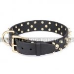 American Staffy Dog Collar "Rock Star" FDT Artisan