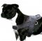 Bestseller! Staffordshire Bull Terrier Nylon Harness