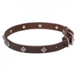 Dog Collar with Stars of Narrow Width for Walking