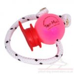 Soft Plastic Dog Ball Top-Matic with MAXI Power-Clip for Staffy