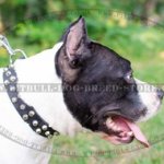 Amstaff Collar with Pyramids for Active Handling