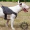 Dog Training Harness for Bull Terrier of Nylon with Padded Chest