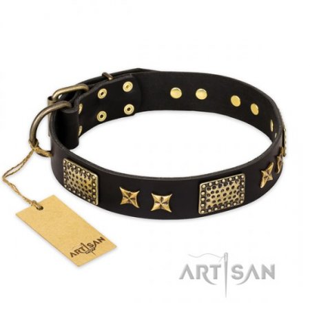 "Space Walk" FDT Artisan Black Studded Collar for Dogs