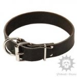 Leather Staffie Collar, Classic Style for Bull Terrier, Amstaff