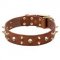 Rockstar Dog Collar, Leather with Brass Spikes and Skulls