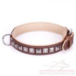 Dog Collar for American Staffy and Pitbull "Pyramid" Brown Color