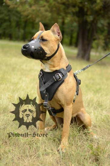 Bestseller! Protection Dog Harness for Stafford Attack Training