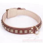 Strong Dog Collar for Pitbull "Cube" of Brown Leather with Nappa