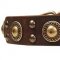 Dog Collar Trends with "Gold" Conchos and Studs for Amstaff