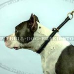 Amstaff Rolled Leather Slip Collar - 12 mm