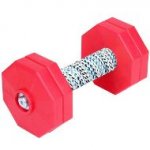 Dog Obedience Dumbbell with 4 Red Plastic Weight Plates, 1 Kg