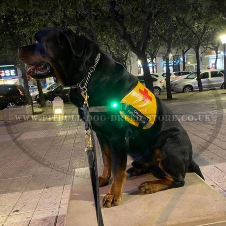 Service Dog Vest for Pitbull with Identification Patches