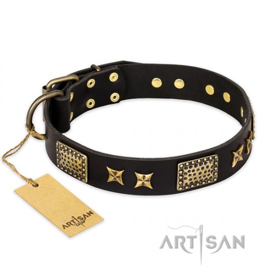 "Passion for Style and Beauty" FDT Artisan Studded Collar in UK