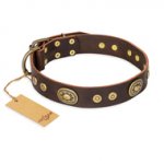 "One-of-a-Kind" FDT Artisan Brown 1.5 inch Leather Dog Collar