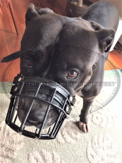 Basket Dog Muzzle, Perfect for Pitbull, Rustproof Wire, Best!