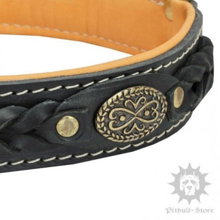 Bestseller! Thick Leather Dog Collar for Pitbull of Royal Design