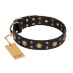 "Cosmic Glow" FDT Artisan Black Leather Studded Dog Collar in UK