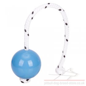 Top-Matic Fun Ball SOFT with Magnet Inside for Staffy Training