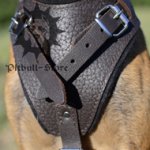 Pitbull Harness for Sale in Brown Colour, UK Bestseller