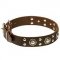 Trendy Dog Collar with "Silver" Studs and Conchos for Amstaff