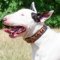 Handmade Dog Collar with "Flame" Painting for Bull Terrier
