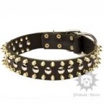 Luxury Dog Collar with Spikes, Studs for Bull Terrier, Amstaff